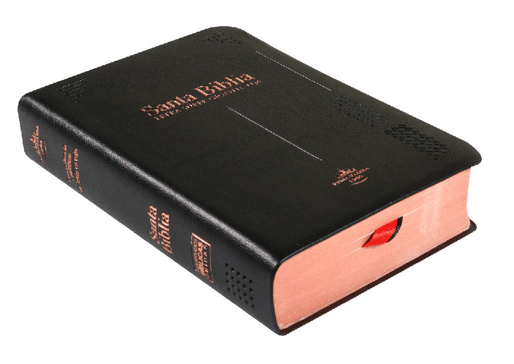 Biblia Reina Valera 1960 Chica Letra Grande Vinil Negro