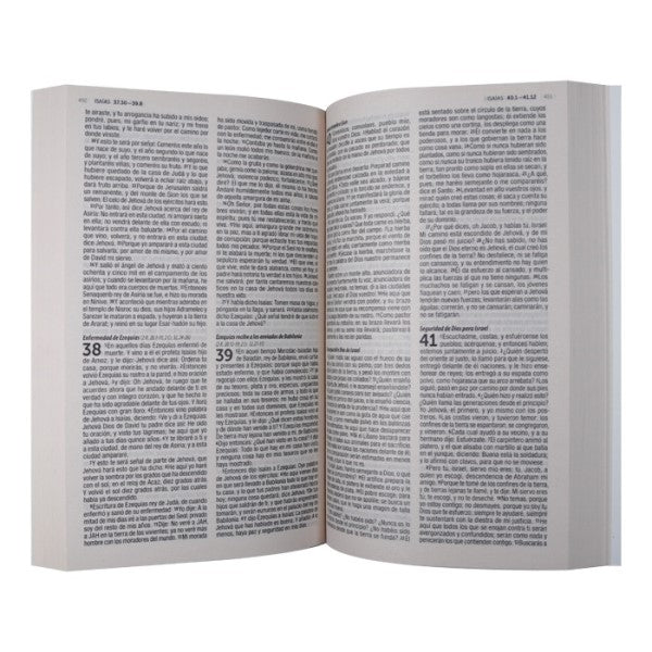 Biblia de Reina Valera 1960 rústica para evangelismo misionera mujer