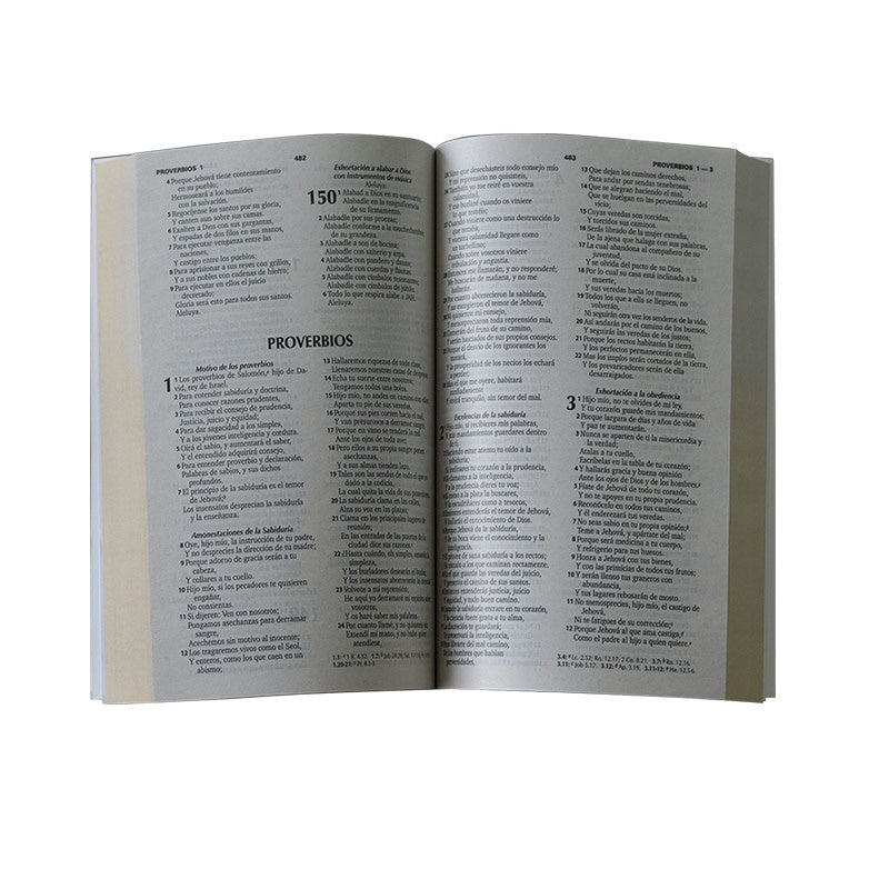 Biblia de Reina Valera 1960 rústica para evangelismo misionera mujer