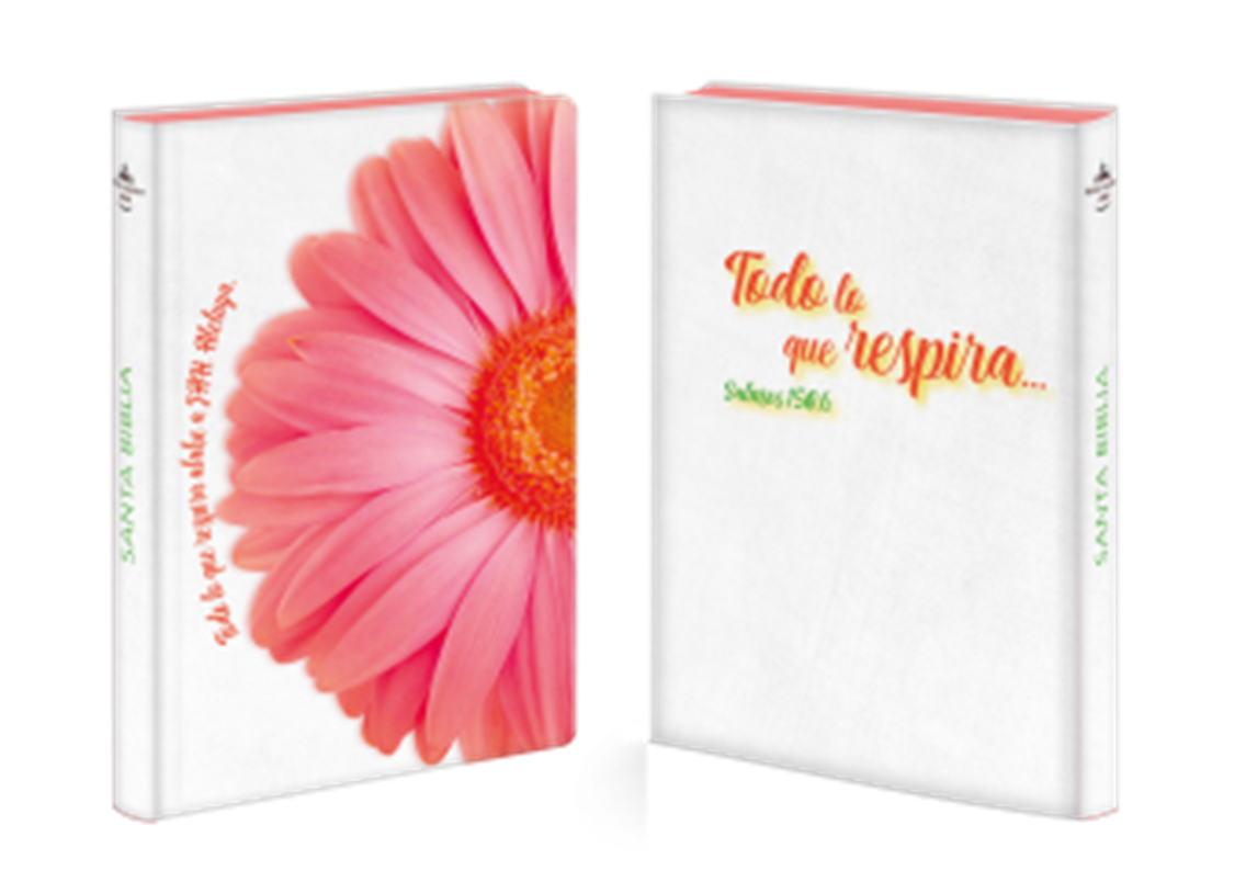Biblia Reina Valera 1960 letra grande 12 puntos tapa semiflexible flor