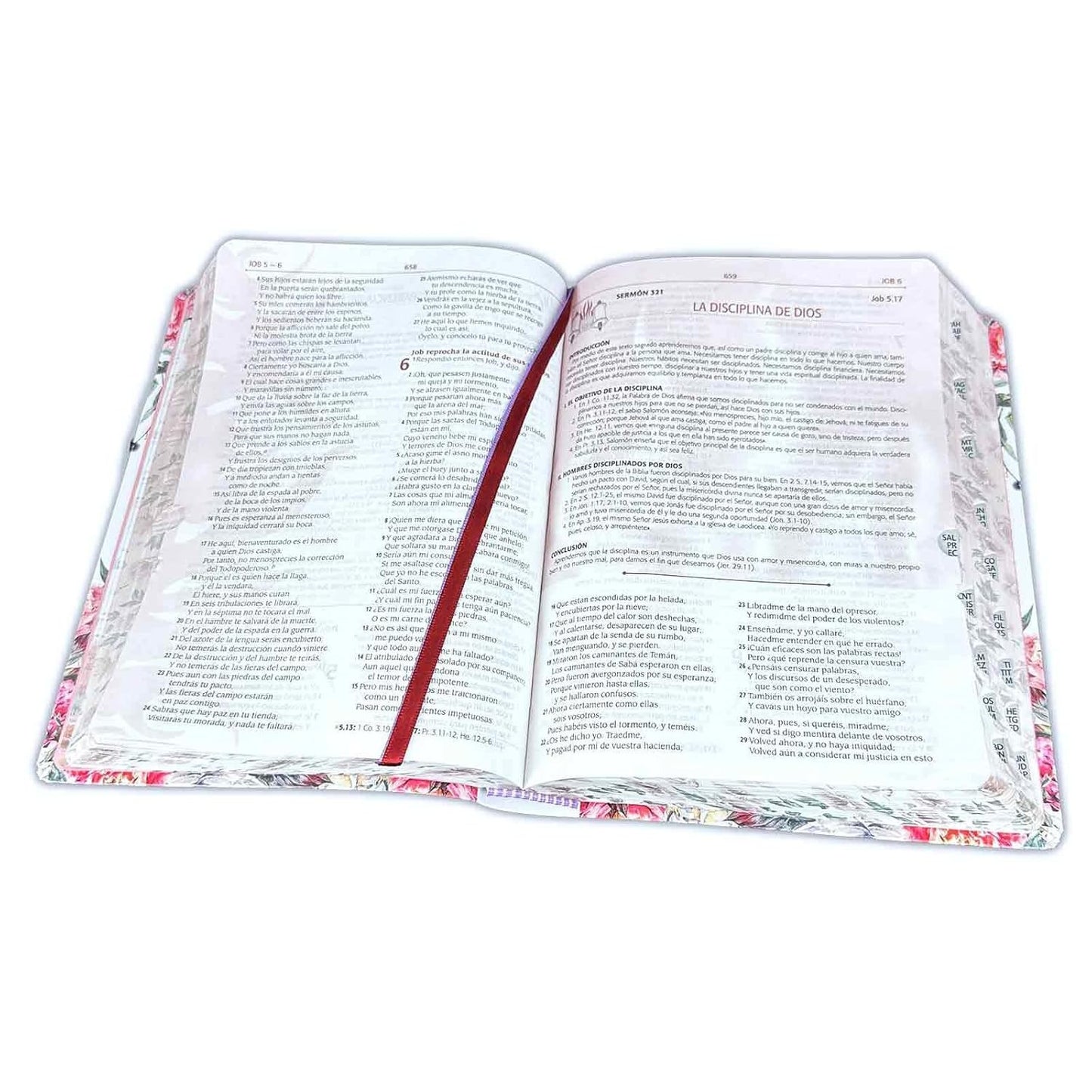Biblia Para La Predicación De Avivamiento Rvr60 Concordancia Mujer