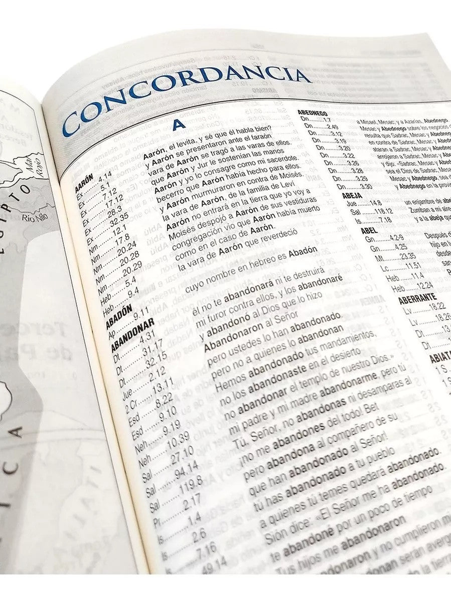 Biblia de Estudio Reina Valera Contemporánea gris