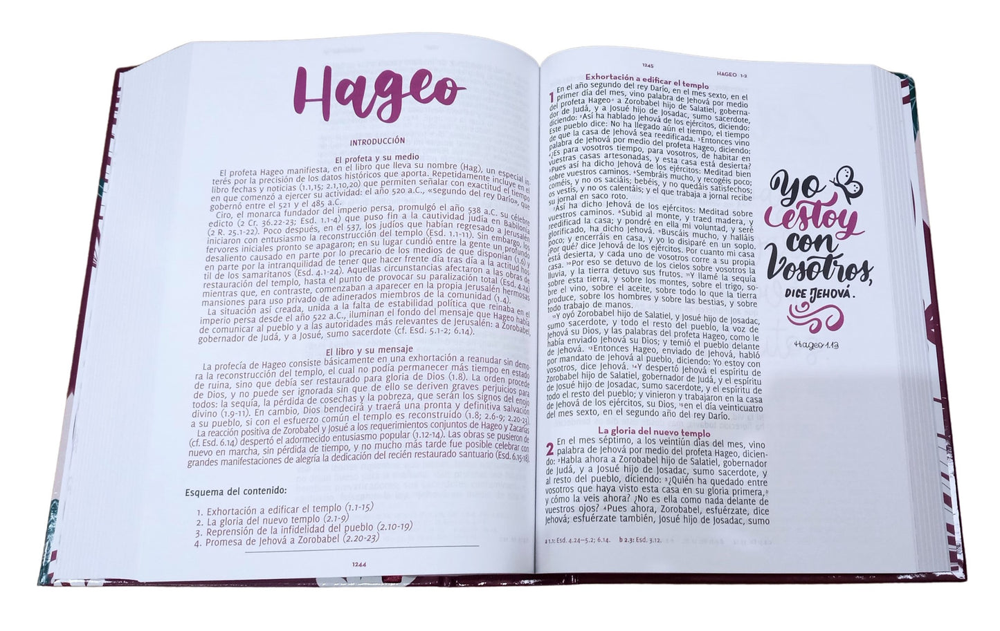 Biblia Adoro RVR 1960 12 puntos, 52 reflexiones, tapa dura