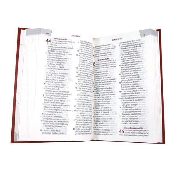 Biblia TLA Letra grande 12 puntos con ayuda emocional
