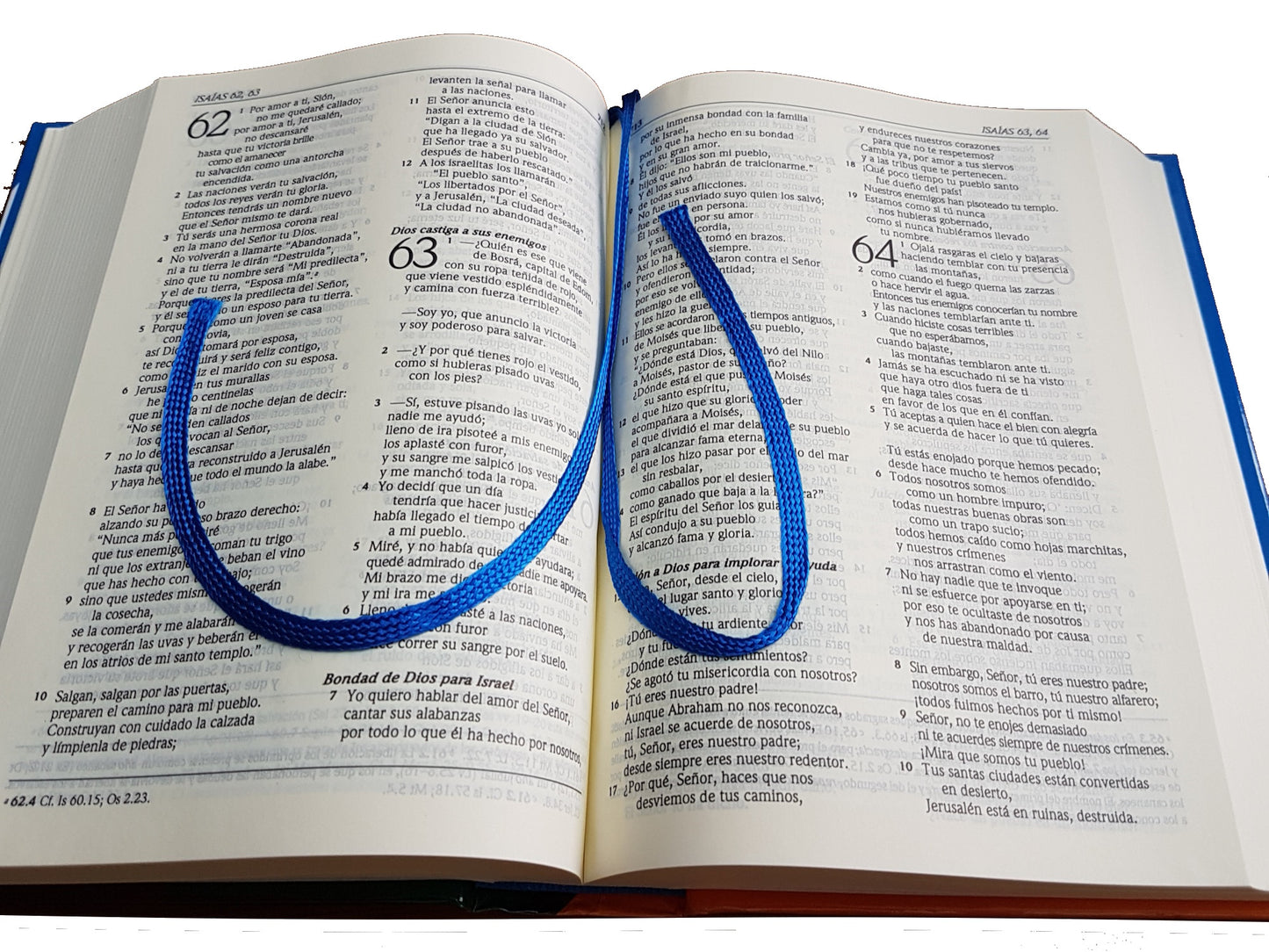Biblia Dios Habla Hoy Con Deuterocanónicos Tapa Dura