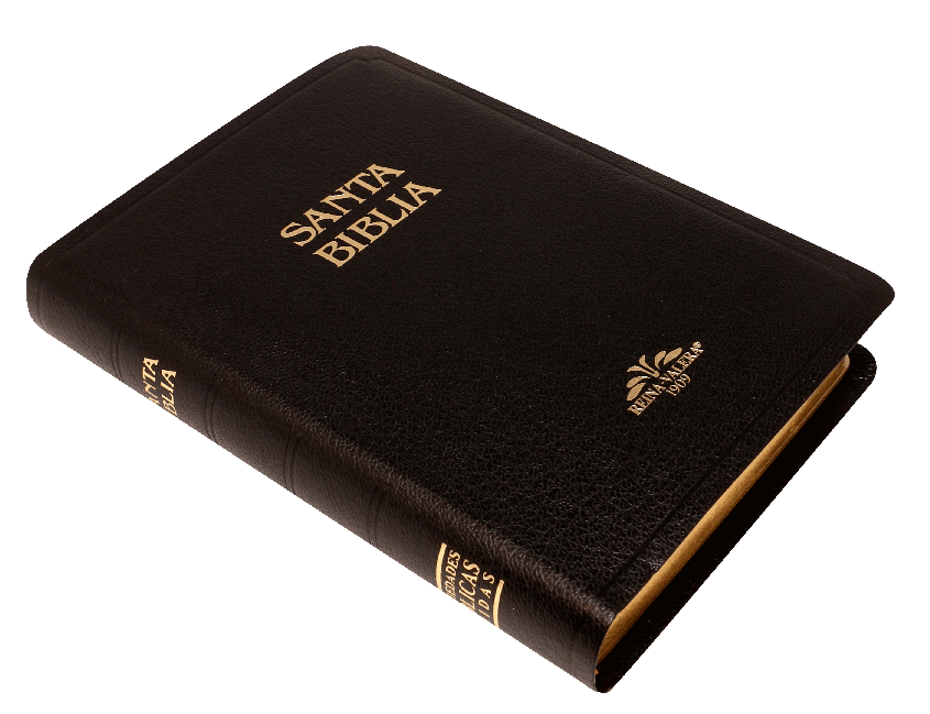 Biblia Reina Valera 1909 negra imit piel