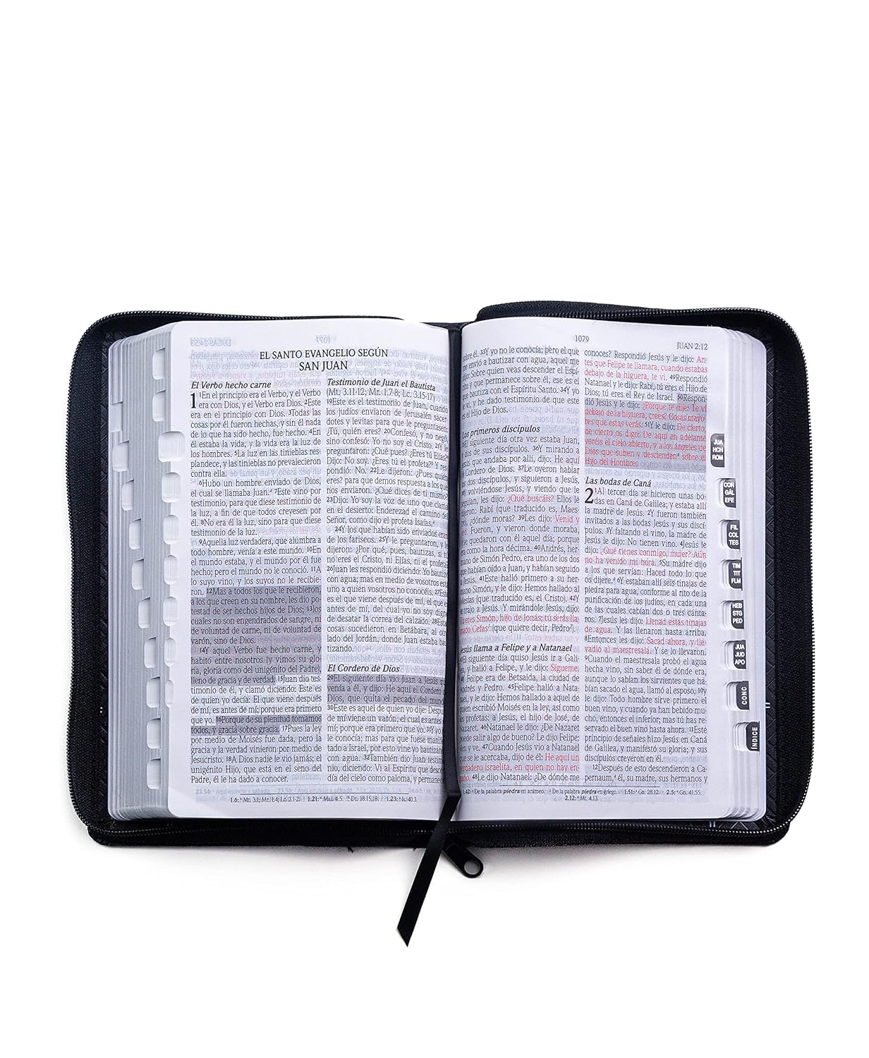 Biblia de Promesas Reina Valera 1960,Letra Grande. con Índice y Cierre
