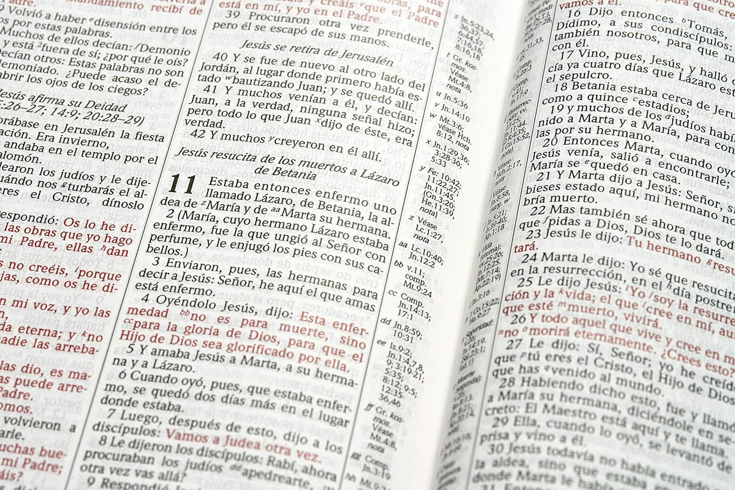 RVR 1960 Biblia de estudio Scofield tapa dura