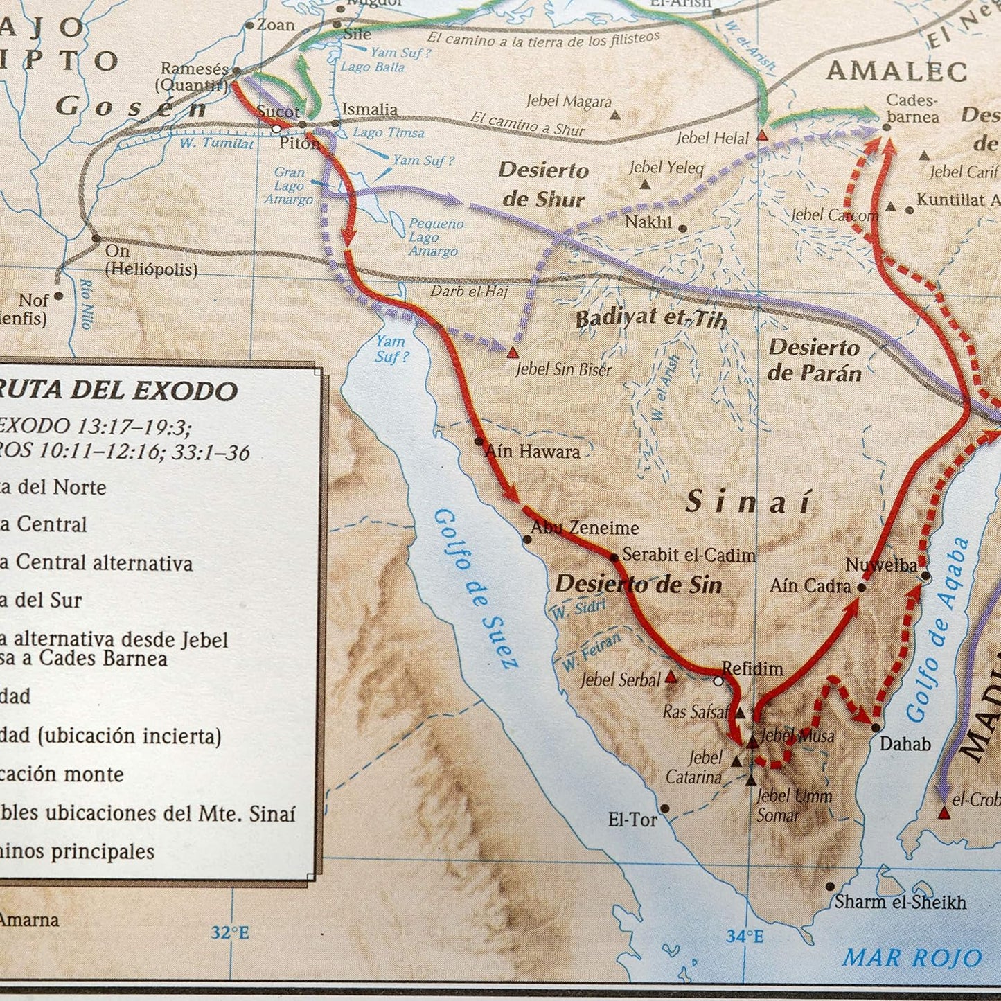 RVR 1960 Biblia de estudio Scofield tapa dura