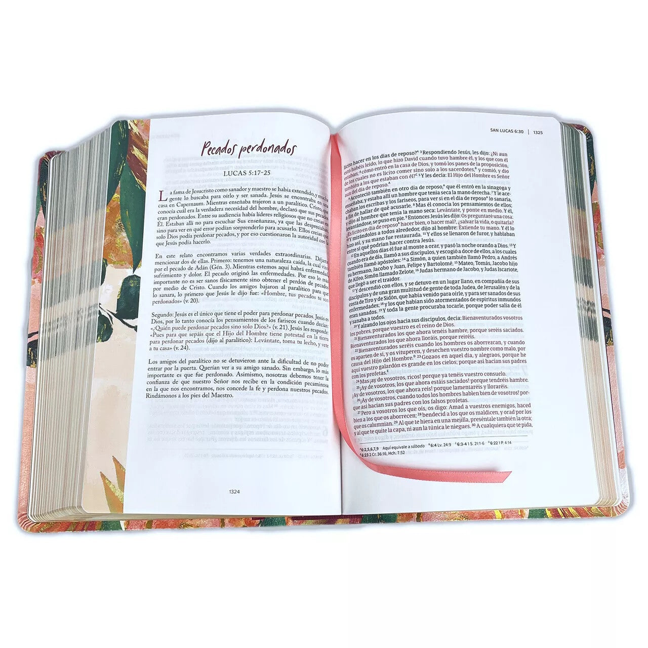 Biblia Devocional Reina Valera 1960 Centrada en Cristo floral, símil piel