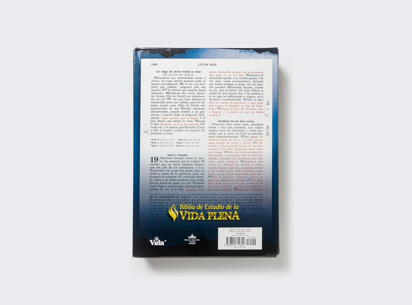 Biblia de estudio de la vida plena RVR60 Tapa dura