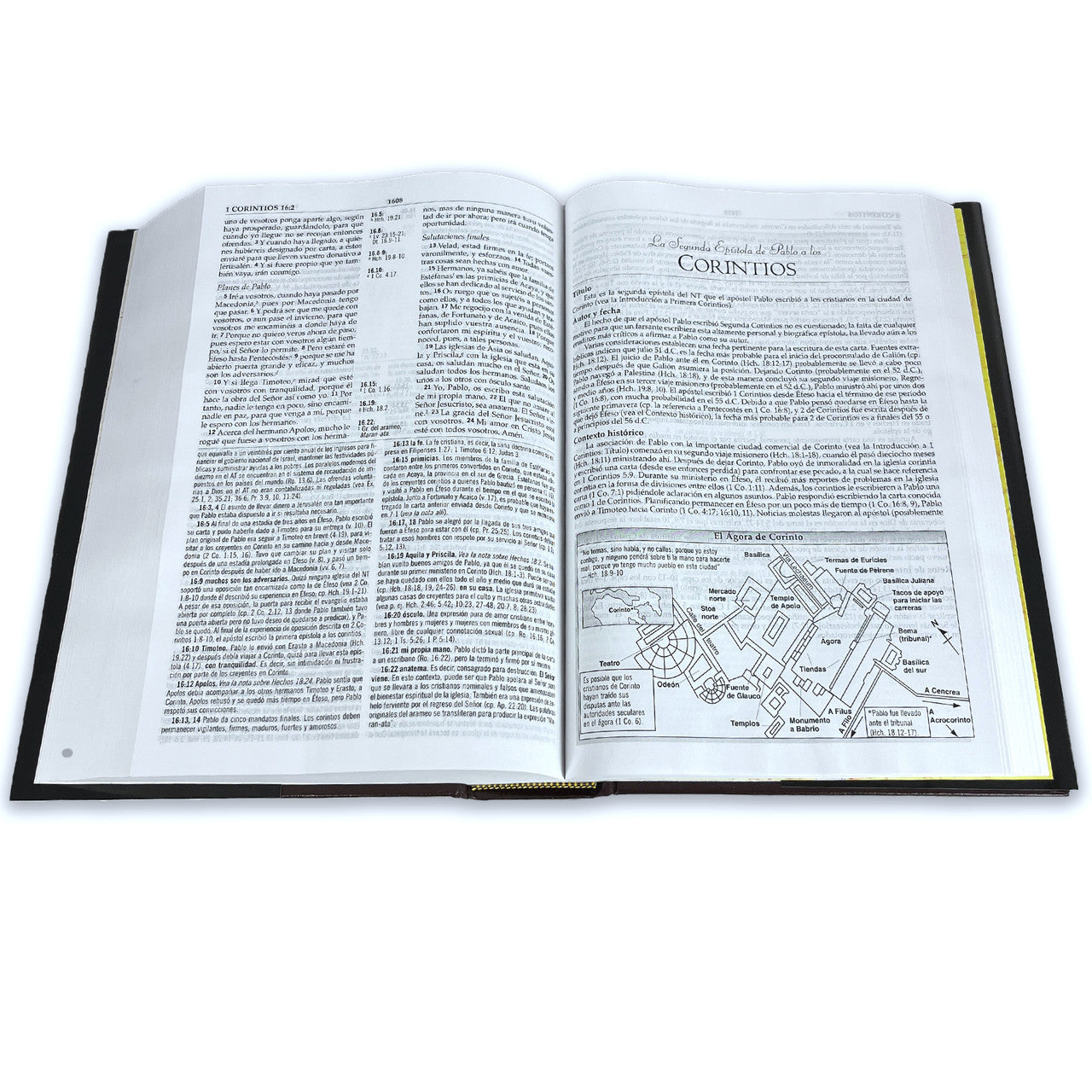 Biblia de estudio MacArthur RVR 1960 tapa dura