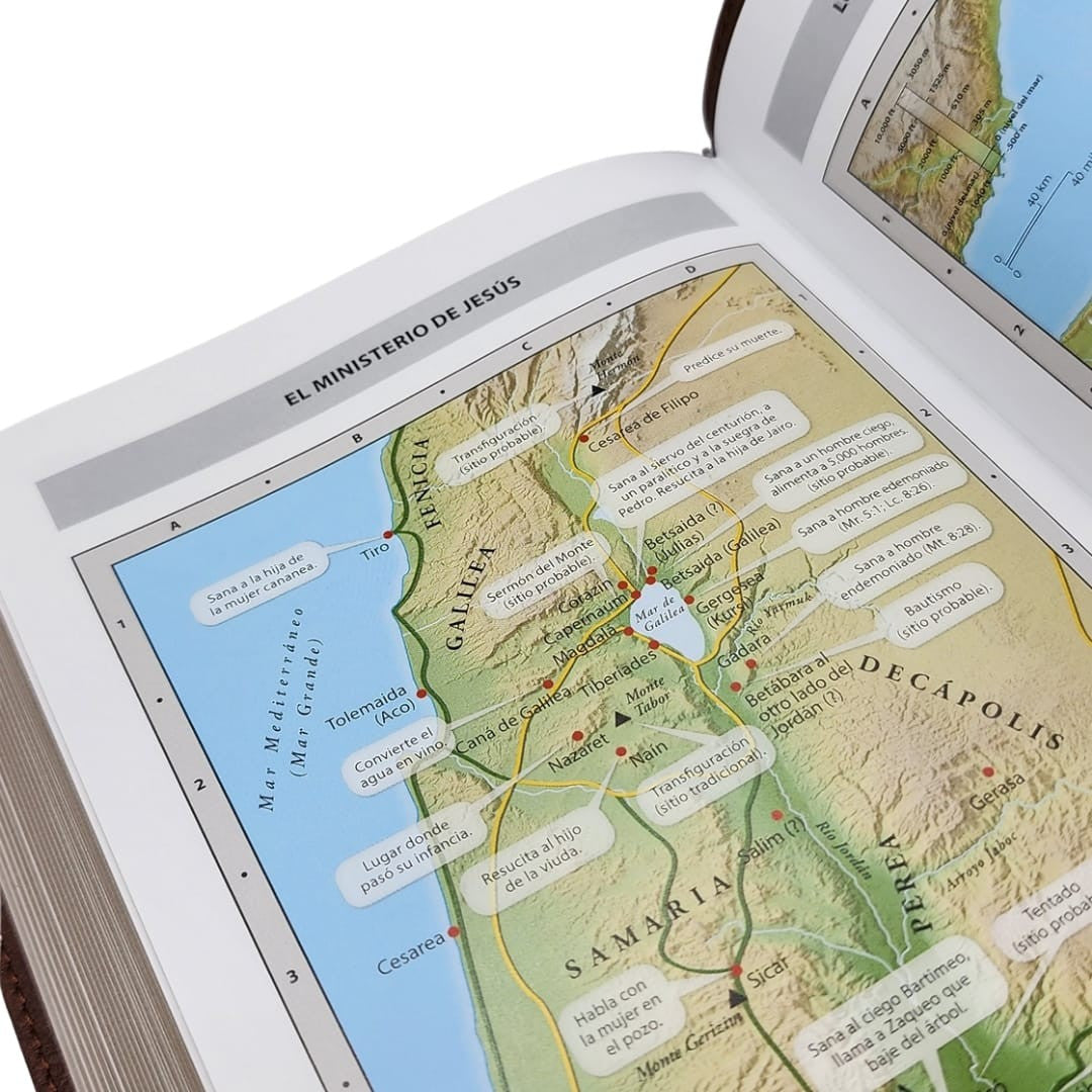 NBLA, Santa Biblia, Ultrafina, Letra grande, Leathersoft, Café