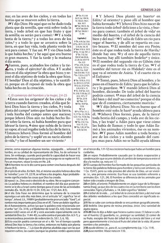 Biblia de estudio Ryrie RVR 1960