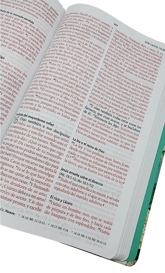 Biblia Reina Valera 1960 letra 10,5 puntos tapa dura Jardín de flores