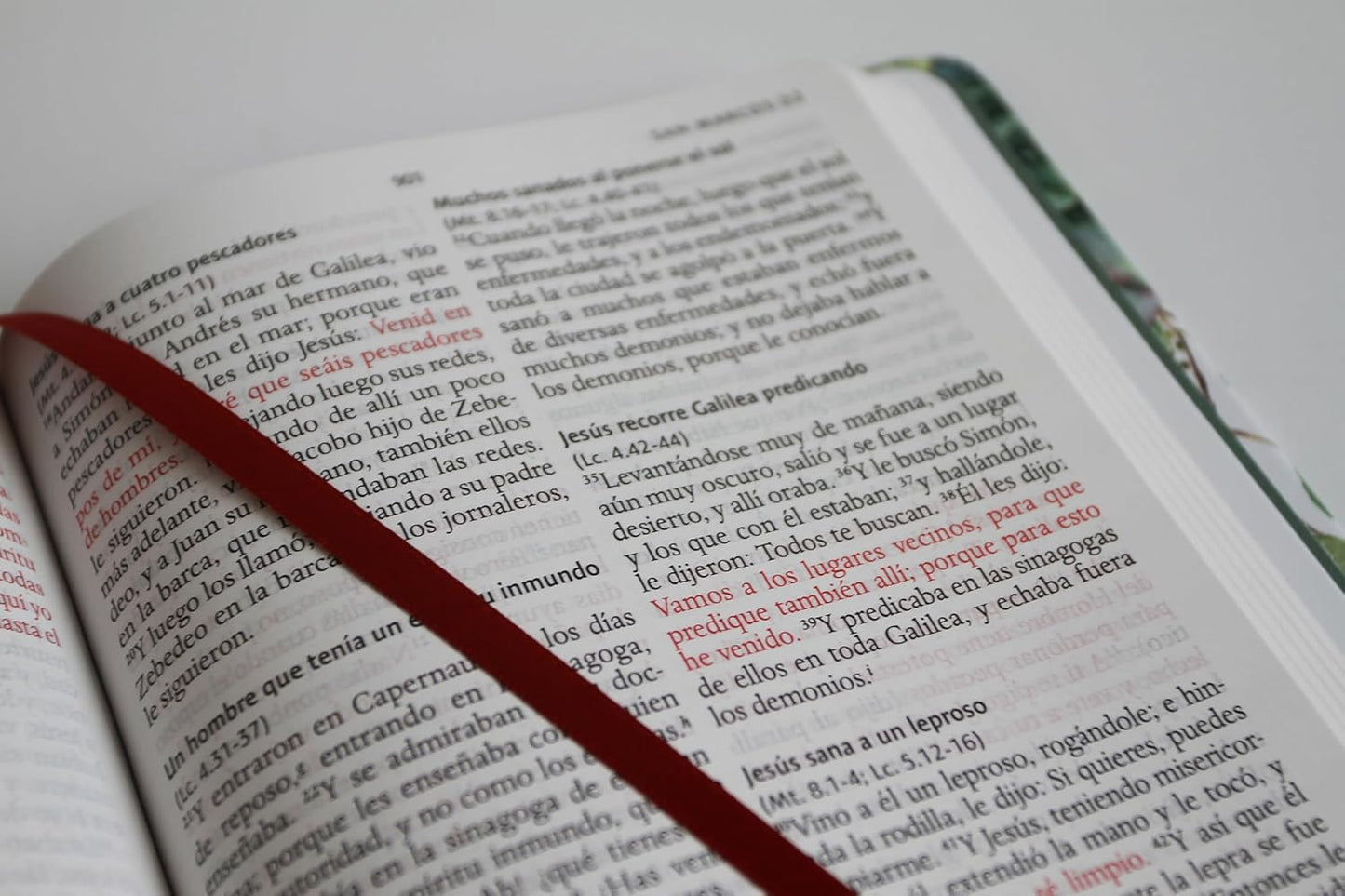 Biblia Reina Valera 1960 letra 10,5 puntos tapa dura flores - verde