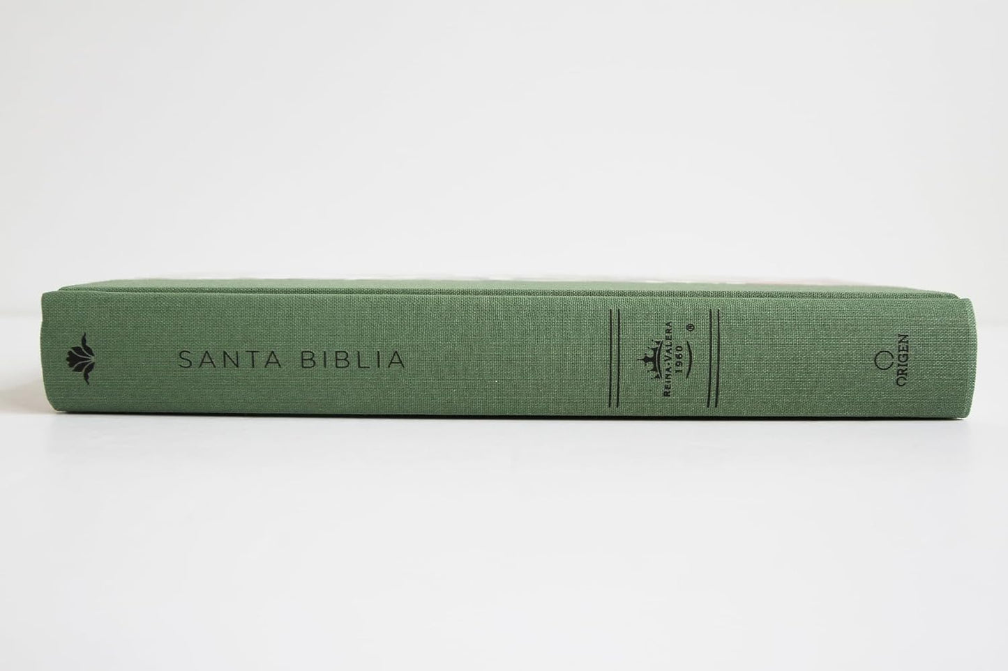 Biblia Reina Valera 1960 letra 10,5 puntos tapa dura flores - verde