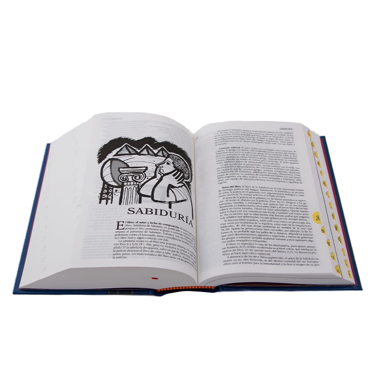 Biblia nuestro pueblo, bolsllo. Católica. Schokel