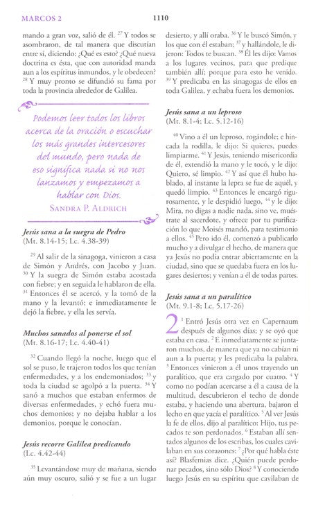 Biblia Mujer de Hoy 10 puntos imitiación piel rosa