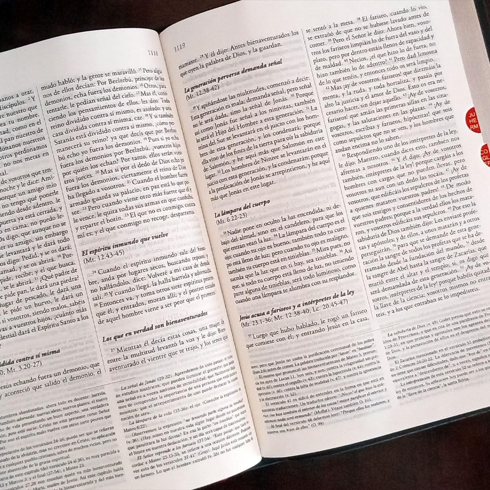 Biblia de Estudio explicada piel especial marron