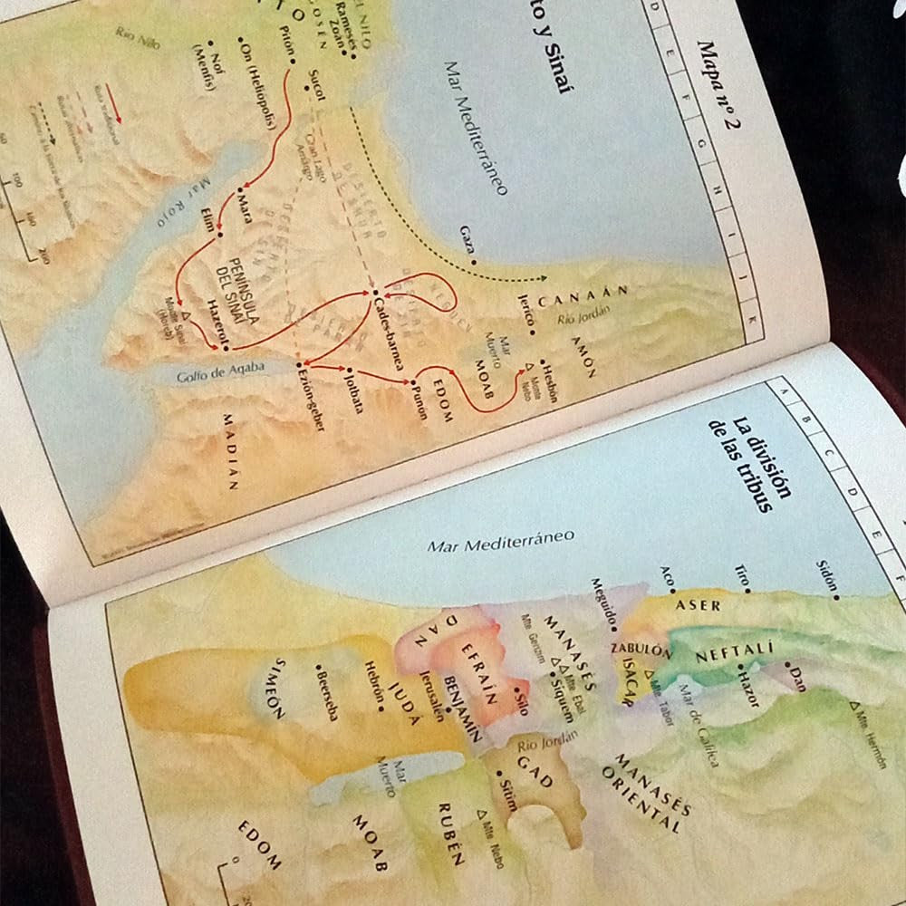 Biblia de Estudio explicada piel especial marron