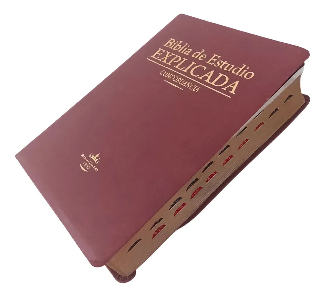 Biblia de Estudio explicada piel especial marron