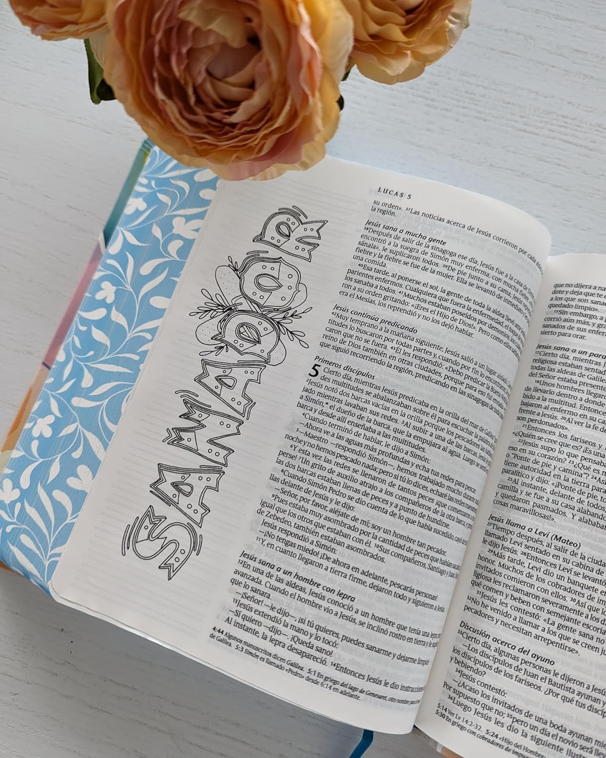 Biblia Inspira NTV SentiPiel, Paraíso floral