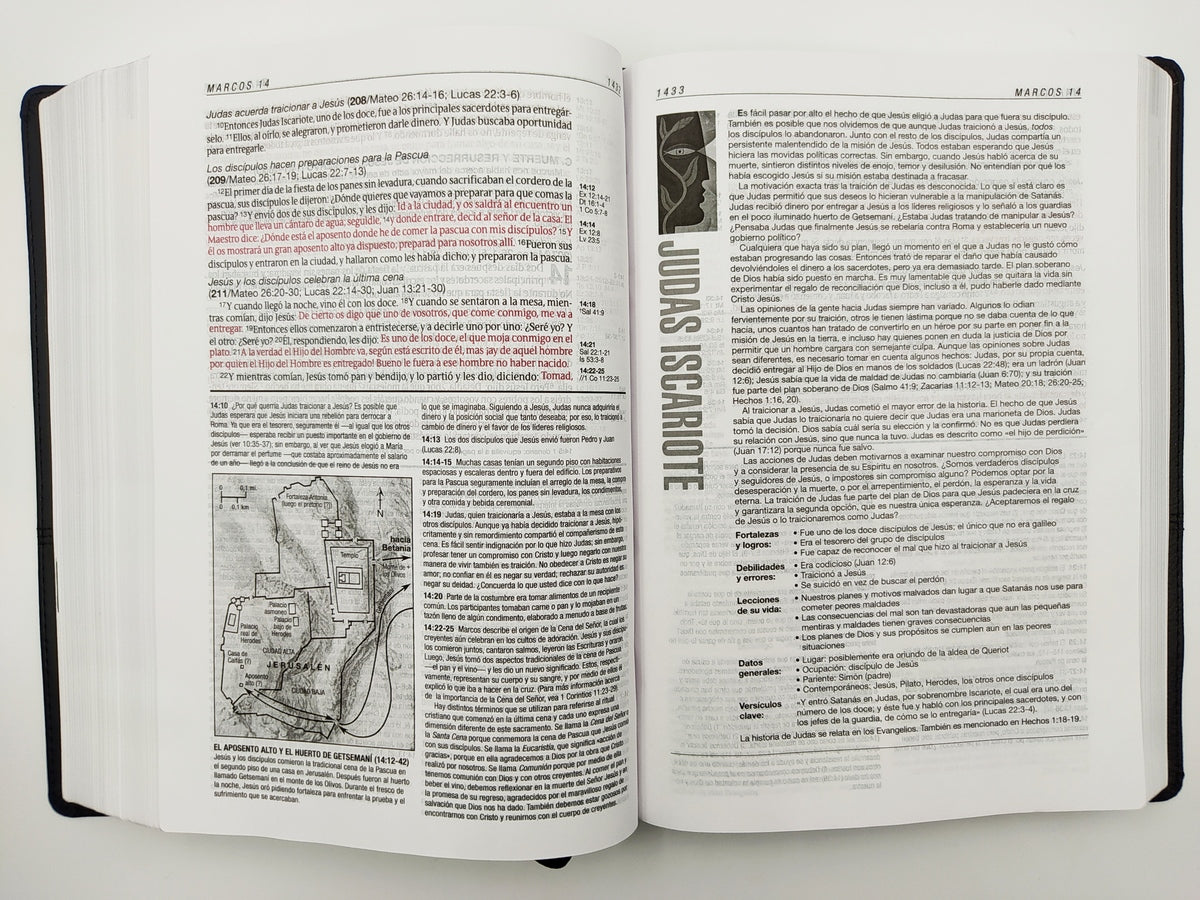 Biblia de estudio del diario vivir RVR60 (SentiPiel, Negro/Ónice