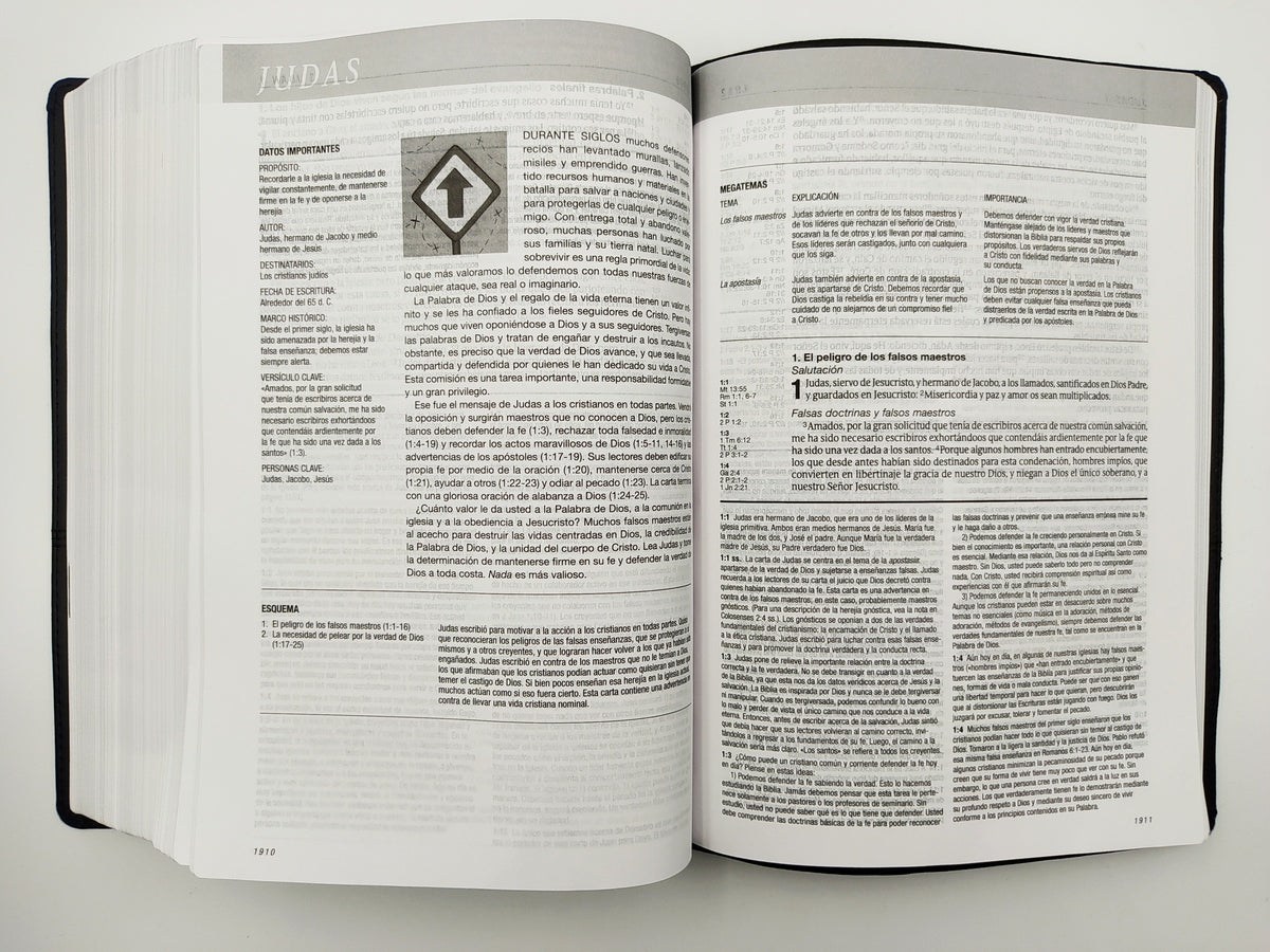 Biblia de estudio del diario vivir RVR60 (SentiPiel, Negro/Ónice