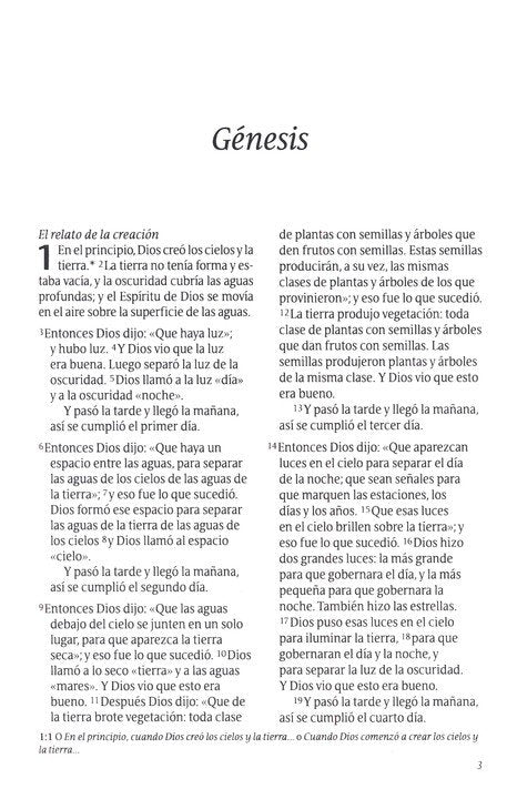 Biblia NTV rosado metálico 10 puntos simil piel