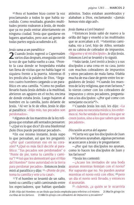 Biblia NTV rosado metálico 10 puntos simil piel