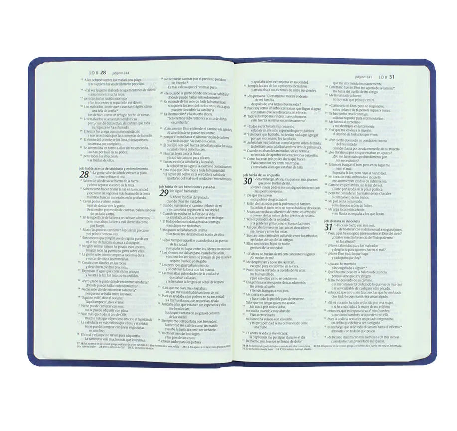 Santa Biblia NTV, Edición ágape, Noche (SentiPiel, Azul)