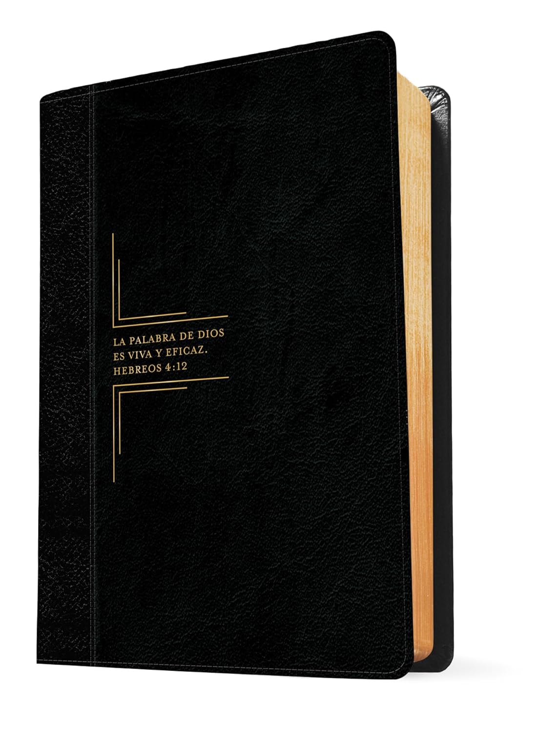 Biblia de estudio del diario vivir RVR60, letra grande, SentiPiel, Negro