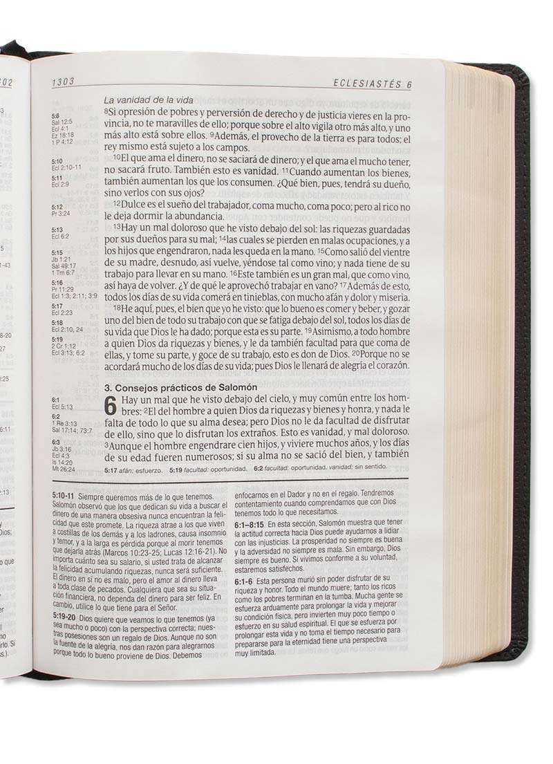 Biblia de estudio del diario vivir RVR60, letra grande, SentiPiel, Negro