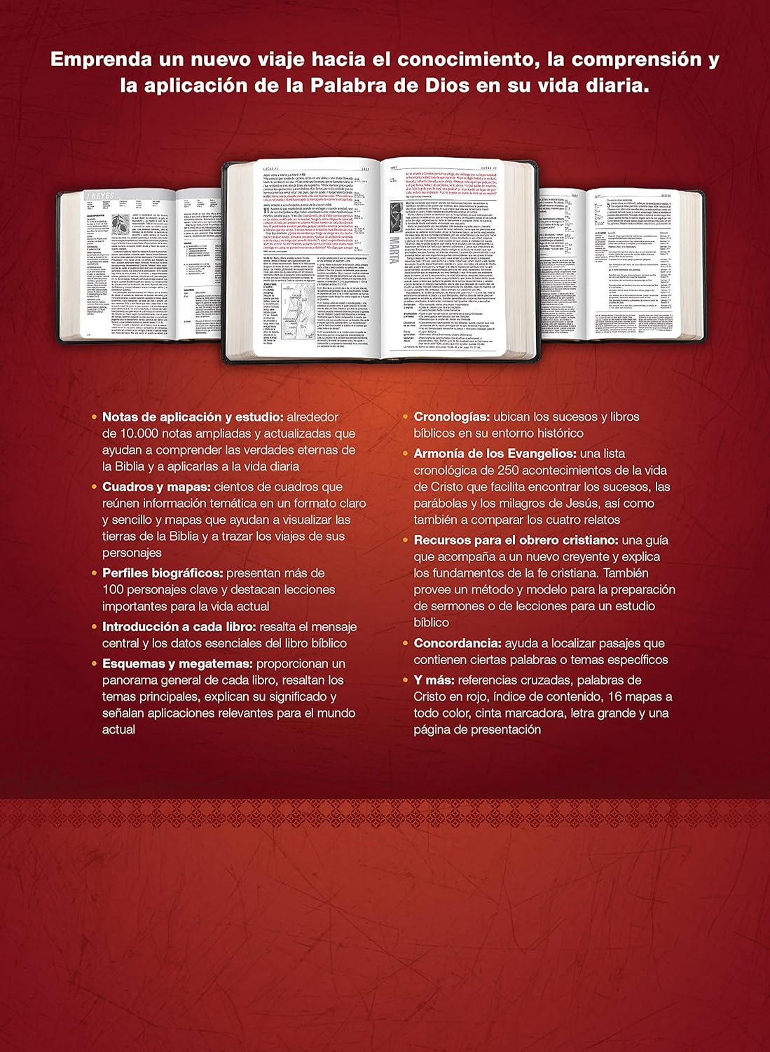 Biblia de estudio del diario vivir RVR60, letra grande, SentiPiel, Negro