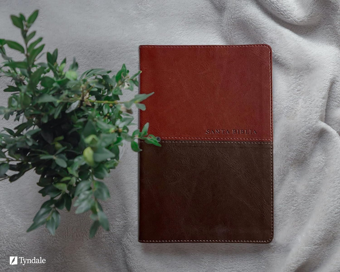 Santa Biblia NTV, Edición personal, letra grande, DuoTono