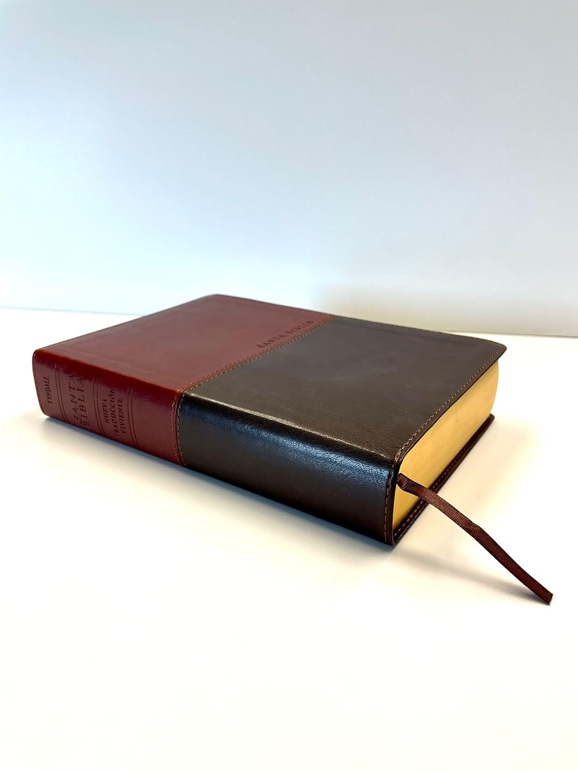 Santa Biblia NTV, Edición personal, letra grande, DuoTono