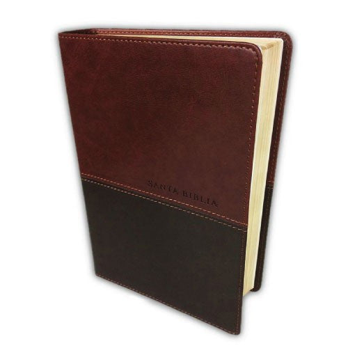 Santa Biblia NTV, Edición personal, letra grande, DuoTono