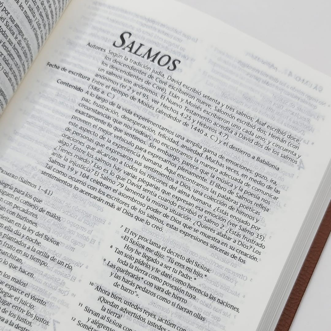 Santa Biblia NTV, Edición ágape, SentiPiel, Café