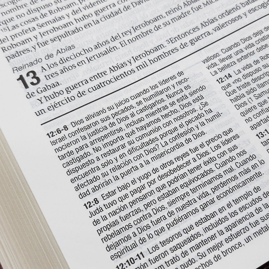 Biblia de estudio del diario vivir RVR60, letra grande, SentiPiel, Vino tinto