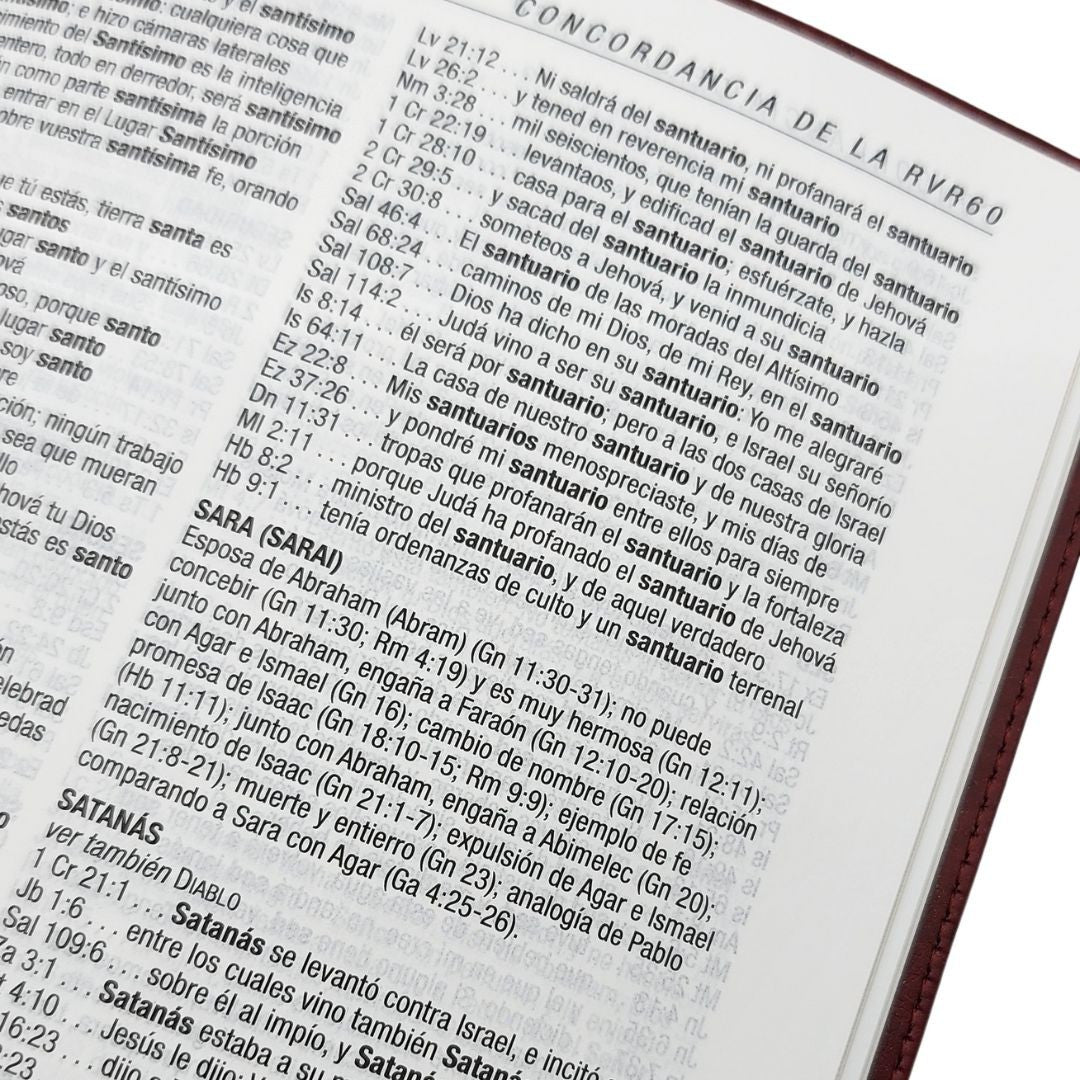 Biblia de estudio del diario vivir RVR60, letra grande, SentiPiel, Vino tinto