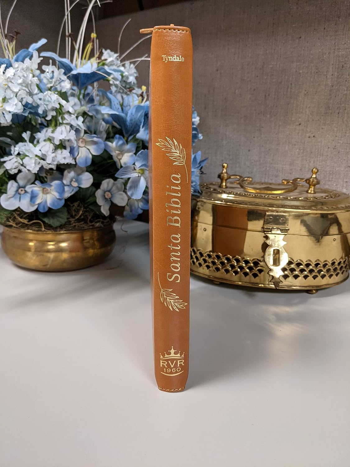 Santa Biblia RVR60, con cierre, referencias, letra mediana 9,5 (SentiPiel, Café, Letra Roja)