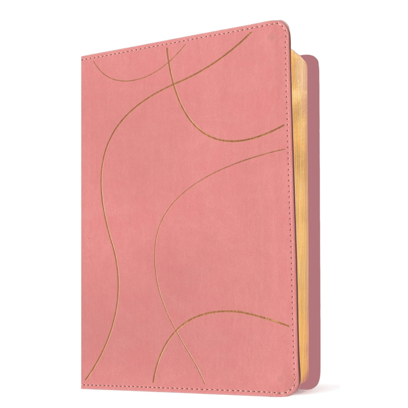 Biblia de estudio del diario vivir para jóvenes NTV con Filament SentiPiel Rosa pastel