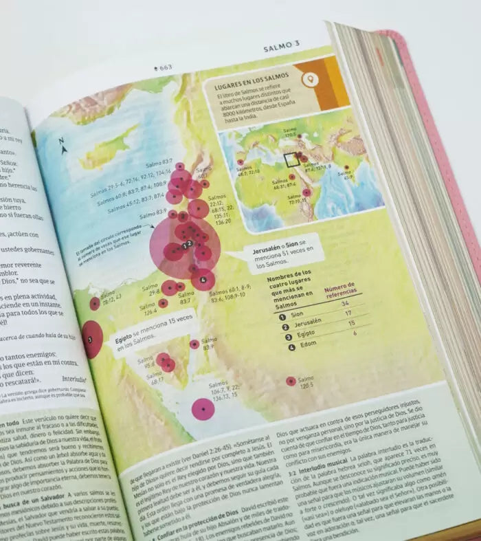 Biblia de estudio del diario vivir para jóvenes NTV con Filament SentiPiel Rosa pastel