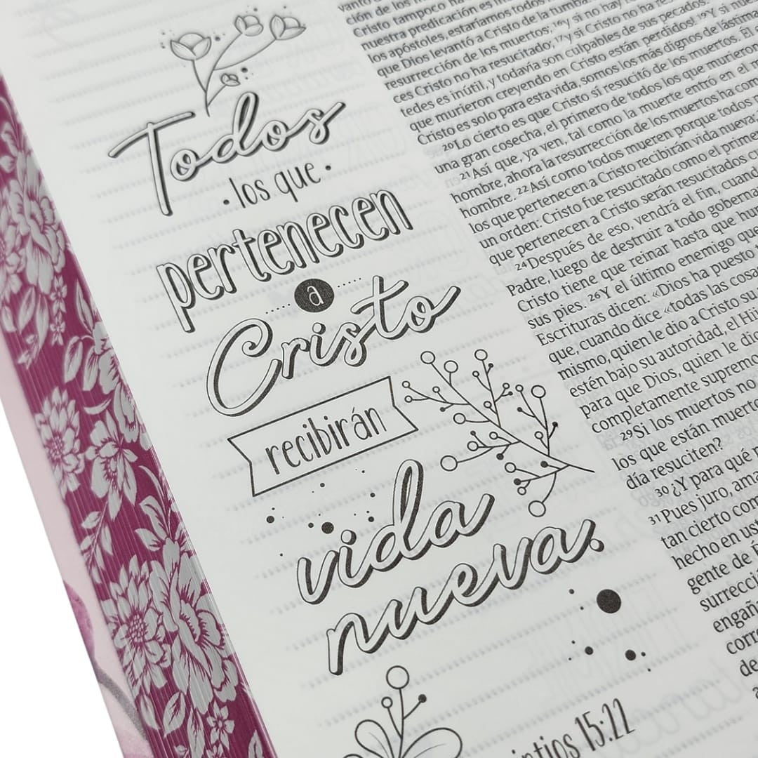 Biblia NTV Inspira letra grande 20×27 cm