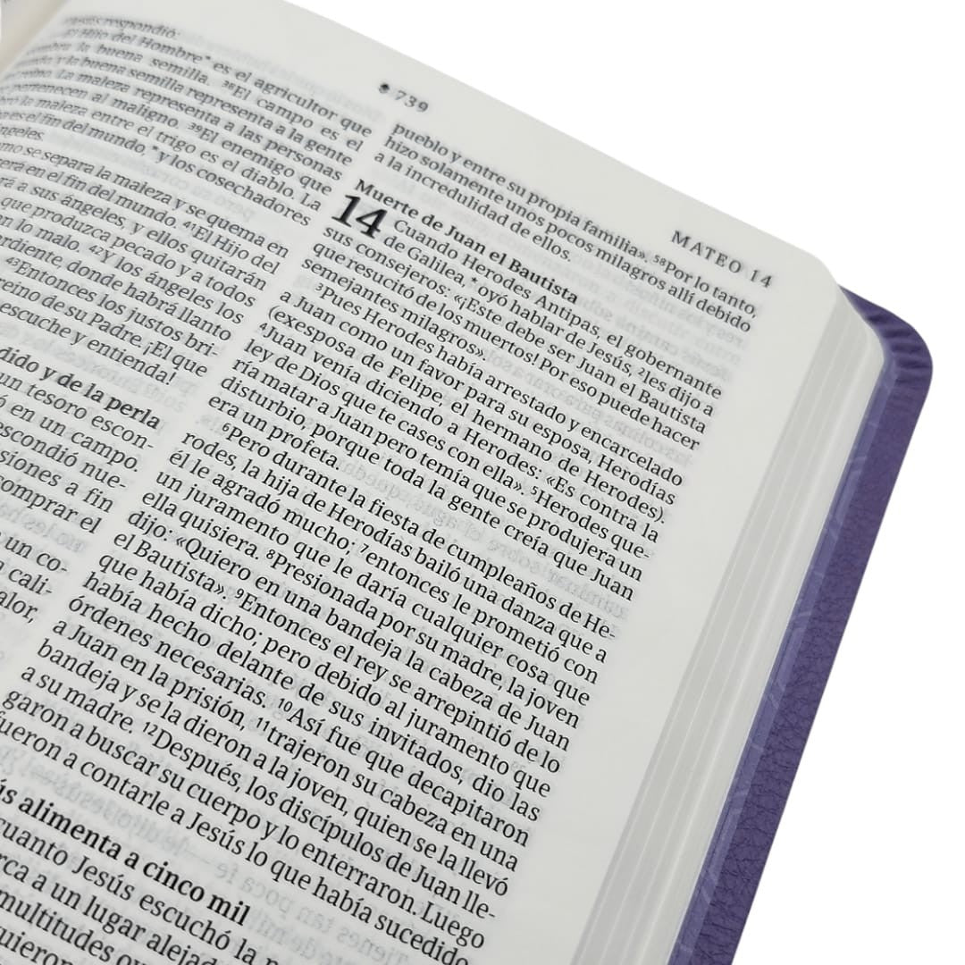 Biblia valor prémium NTV con Filament (SentiPiel, Púrpura)