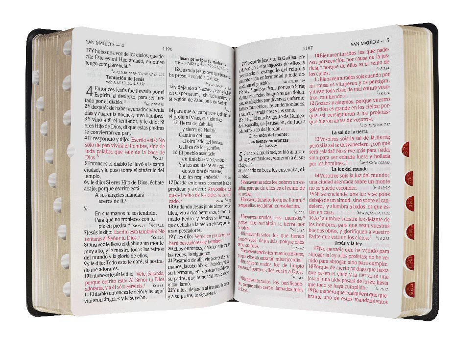 Reina Valera 1960 concordancia letra grande indice vinil negro