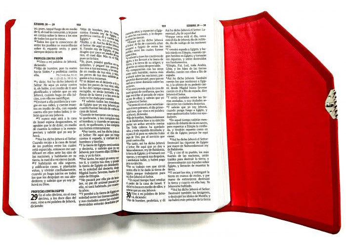 Biblia Reina Valera 1960 Tamaño Agend Imitación Piel Rojo