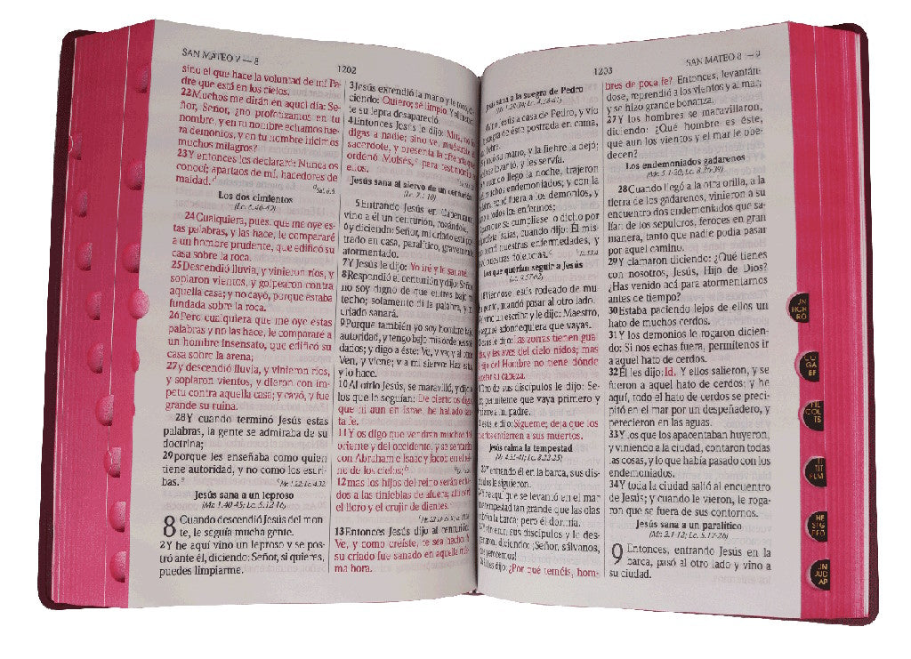 Biblia RVR1960 Letra grande indice concordancia vino