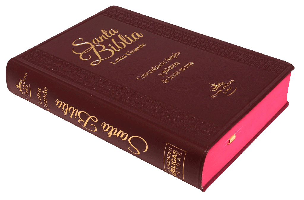 Biblia RVR1960 Letra grande indice concordancia vino